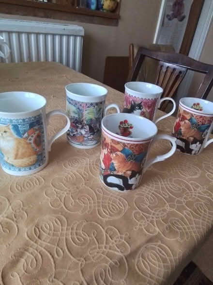 Photo of free 10 cat mugs (Fords Farm RG31) #1