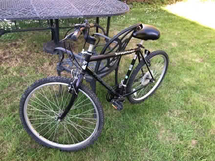 Photo of free Adult bike (Allington) #1