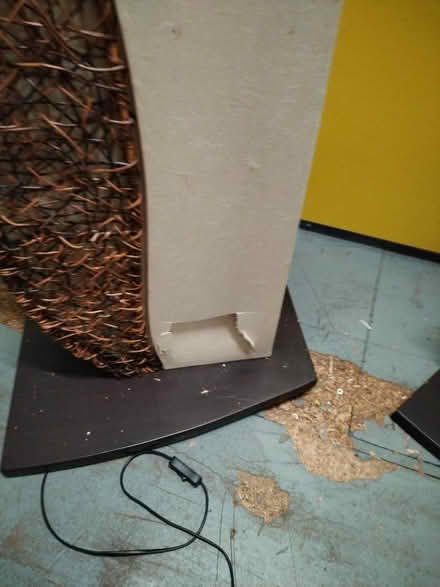 Photo of free Tall floor lamps x3 (WN7 leigh) #3