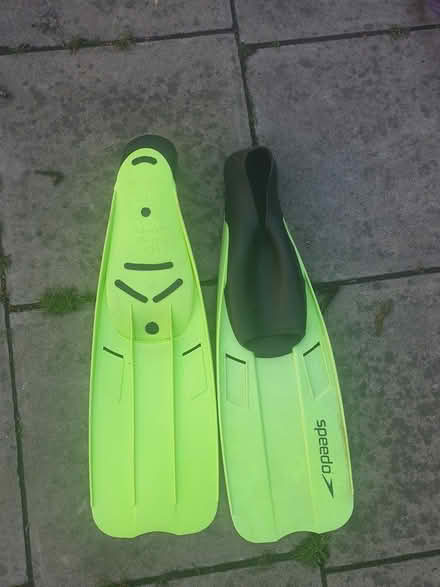 Photo of free Flipper (South East London) #2