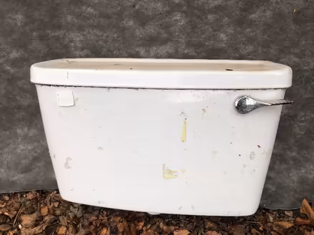 Photo of free Toilet Cistern + lid (Bucknell SY7) #1