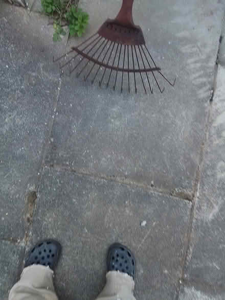 Photo of free Scarifier grass rake (Timperley WA15) #2