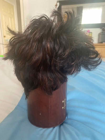 Photo of free Short Brown Mix Wig (Alperton HA0) #2