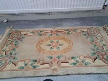 Photo of free Rug #2 (TN24) #2