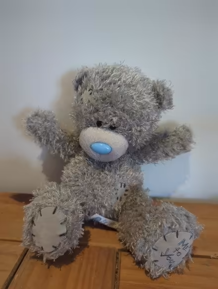 Photo of free Me to you bear (Winton, Bournemouth BH9) #1