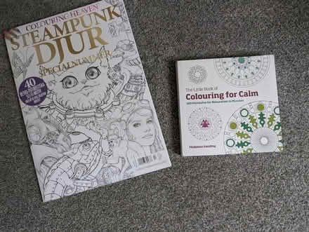 Photo of free Colouring books (Sutton courtenay OX14) #1