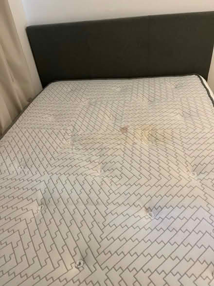 Photo of free Double bed (Elephant & Castle SE17) #3