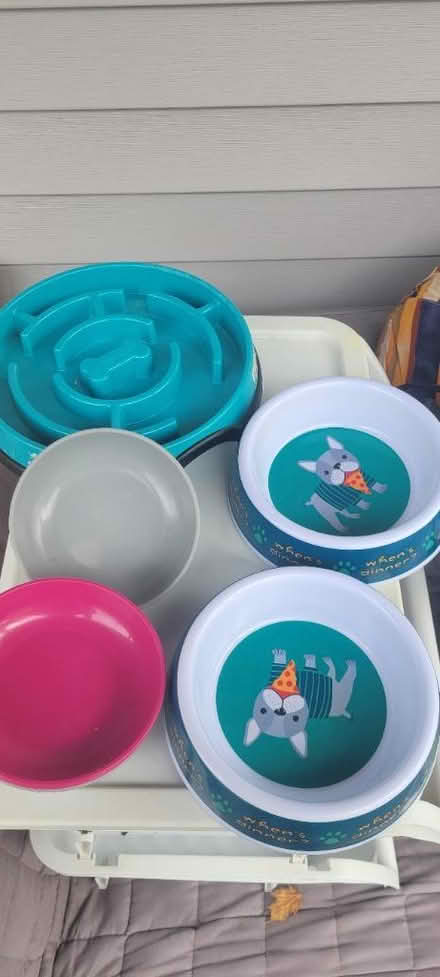 Photo of free Dog plates (Everett) #1