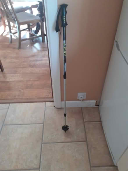 Photo of free Traditional walking pole (Dean Row SK9) #1