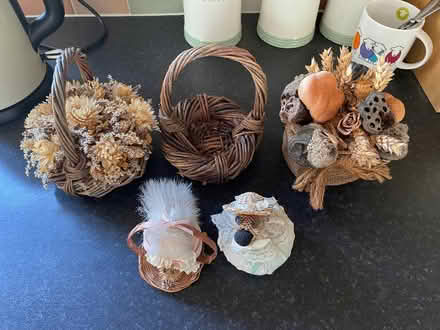 Photo of free Dried Flowers (Penrith CA11) #1