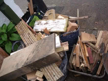 Photo of free quantity of wood (Neston CH64) #2