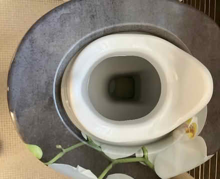 Photo of free Toilet seat reducer (Oakley MK43) #2