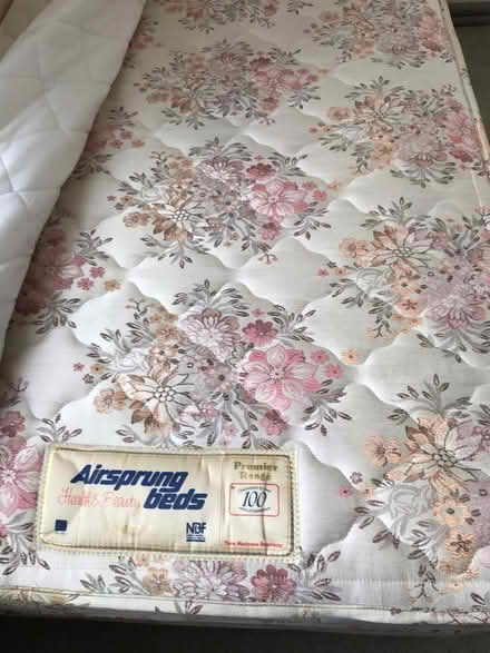 Photo of free Single bed available good condition from smoke free home. (Southsea PO4) #2