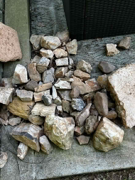 Photo of free Dog house & rocks (Dale blvd) #3