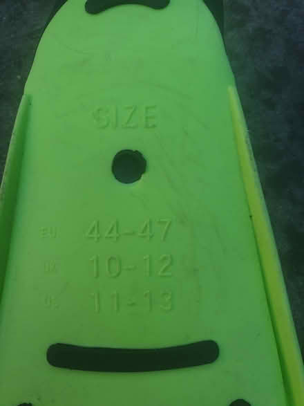 Photo of free Flipper (South East London) #1