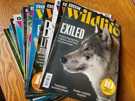 Photo of free 13 issues of BBC Wildlife March 23 to March 24 (Maulds Meaburn CA10) #1