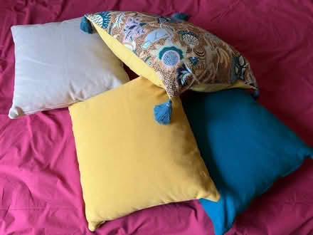 Photo of free 4 Cushions (Alcester Lanes End B14) #1