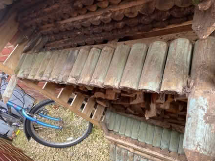 Photo of free Wooden fence border (Hilperton BA14) #1