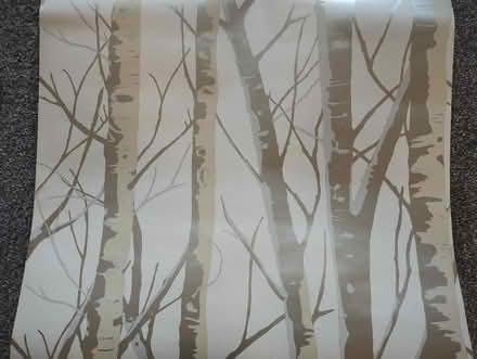 Photo of free Wallpaper offcuts (Sheddingdean RH15) #1