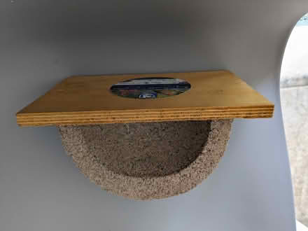 Photo of free Swallow Nest (Wareham BH20) #2