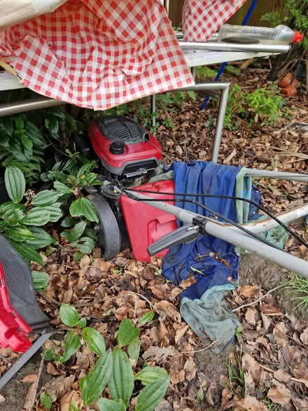 Photo of free Lawn mowers (Whalley range M16) #1