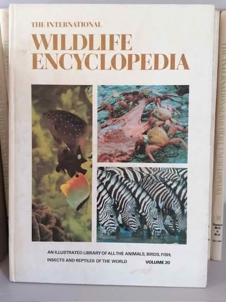 Photo of free Set of wildlife encyclopaedias (Frome BA11) #1