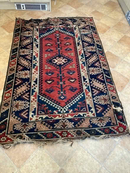 Photo of free Moth-damaged rug (Bear Flat) #1