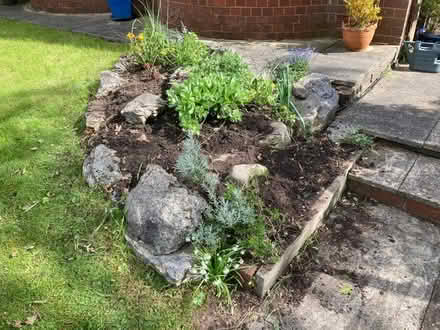 Photo of free Rockery Stones (Fulwood PR2) #1