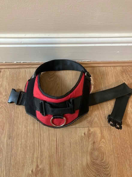 Photo of free Red dog harness, size large (Handforth, SK9) #3