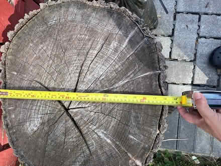 Photo of free Tree Logs - Seating or Planters (Fairlawn/Anacostia) #1