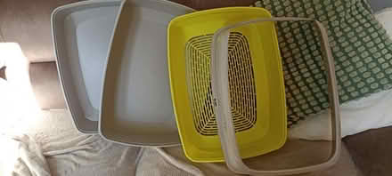 Photo of free Cat litter trays (Hoddesdon EN11) #1