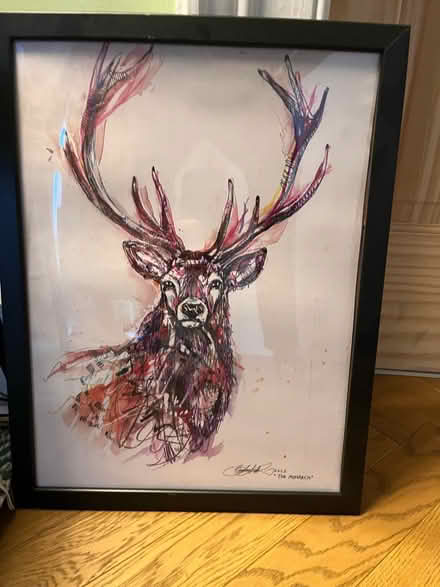 Photo of free Stag print plus frame (G42) #1