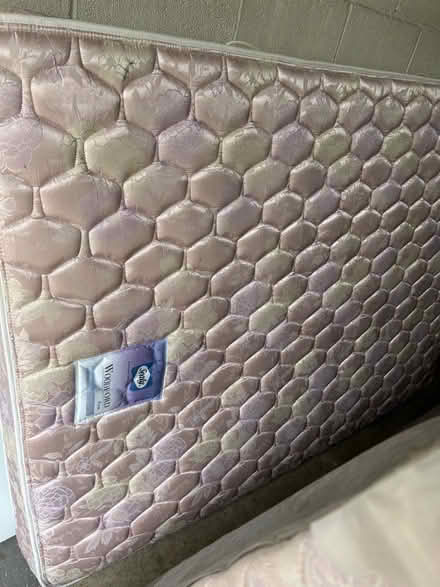 Photo of free Full Mattress & Box Spring (Chestnut Hill) #2