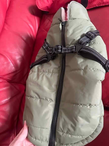 Photo of free Dog jackets (G78) #1
