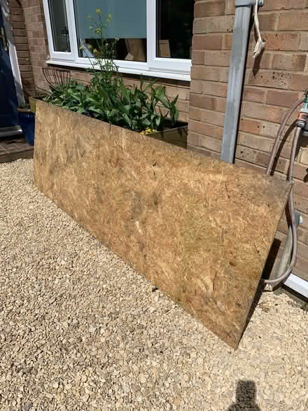 Photo of free Large OSB (chipboard) board (Cholsey OX10) #1