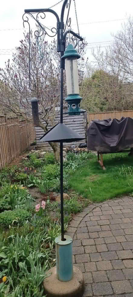 Photo of free Bird feeders & 'tree' (Carlington) #2