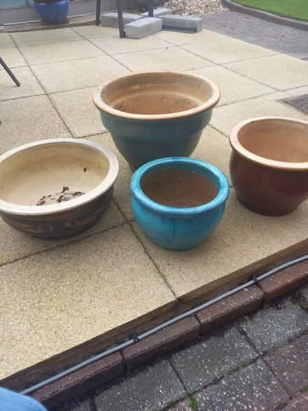 Photo of free plant pots for outdoor use (Barry CF62) #1