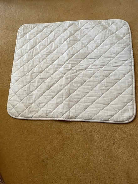 Photo of free Cot mattress protector (Charvil RG10) #1