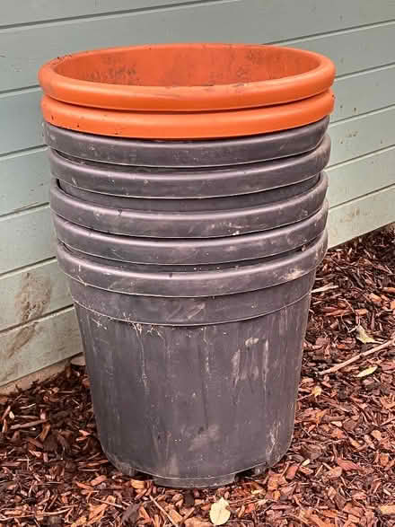 Photo of free Large Plant Pots (New Malden KT3) #1