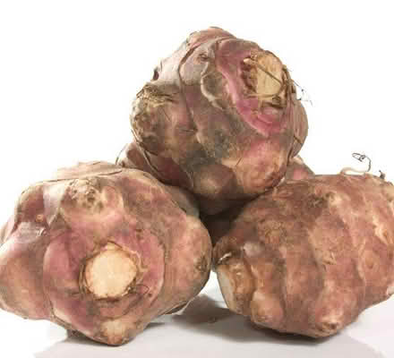 Photo of free Jerusalem artichokes (Oxford OX3) #1