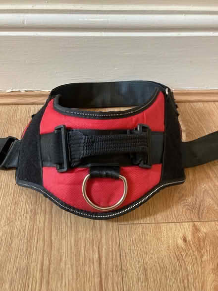 Photo of free Red dog harness, size large (Handforth, SK9) #2