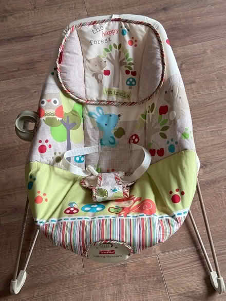 Photo of free Baby Bouncer (Risinghurst OX3) #1