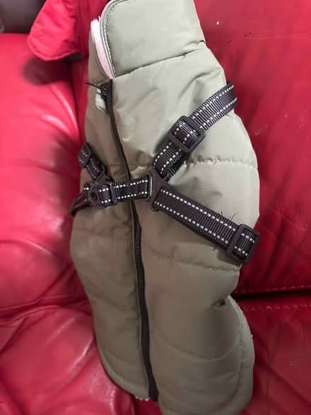 Photo of free Dog jackets (G78) #2