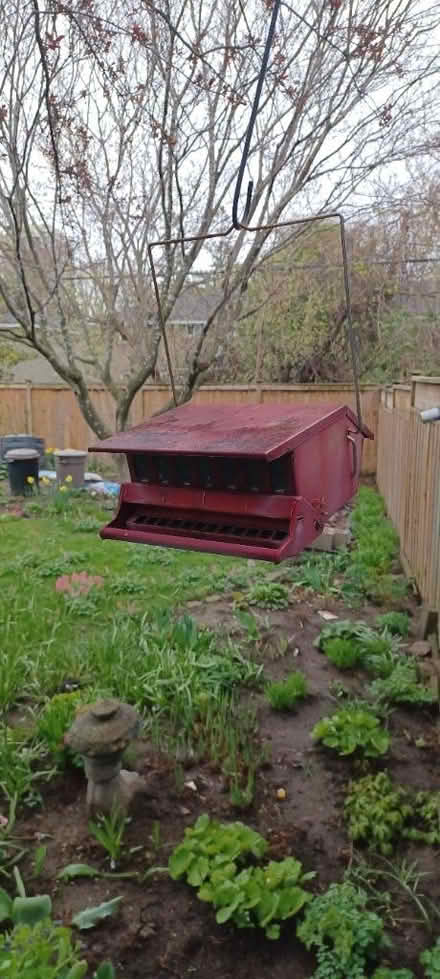 Photo of free Bird feeders & 'tree' (Carlington) #1