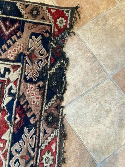 Photo of free Moth-damaged rug (Bear Flat) #3
