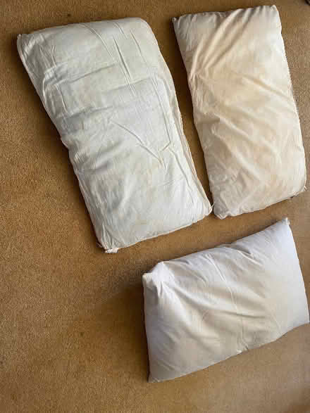 Photo of free 3 pillows (One is feather) (Charvil RG10) #1