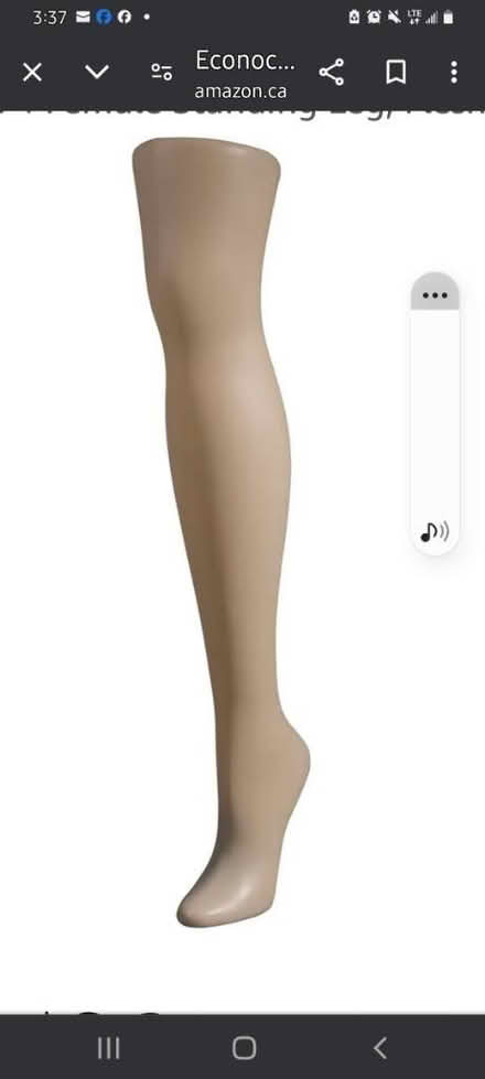 Photo of mannequin leg and skeletons (Aylmer) #2