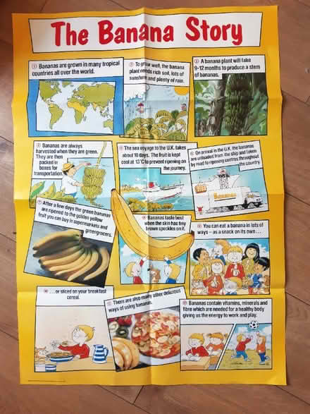 Photo of free Poster-The Banana Story for classroom or food bank (New Catton NR3) #1