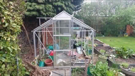 Photo of free Greenhouse (Amersham HP6) #2