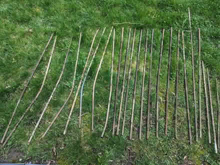 Photo of free Steel Rebar Pieces (Kitchener (Forest Hill)) #1